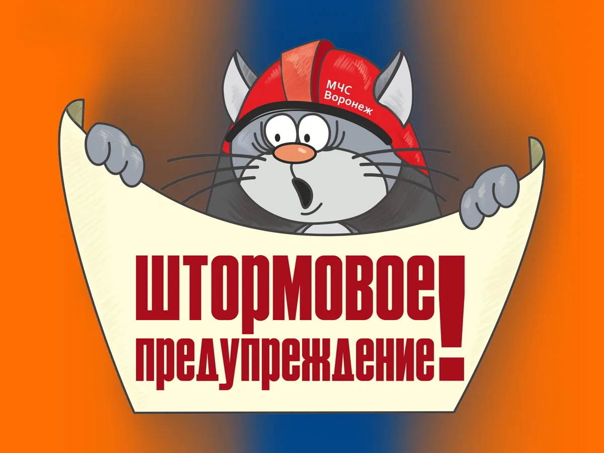 ‼От Воронежского центра по гидрометеорологии и мониторингу окружающей среды получено «Штормпредупреж