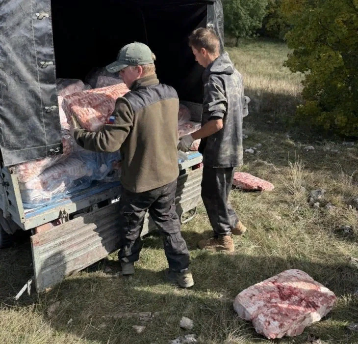 На Чатыр-Даг завезли 900 килограммов мяса для грифов и белоголовых сипов! 🔥