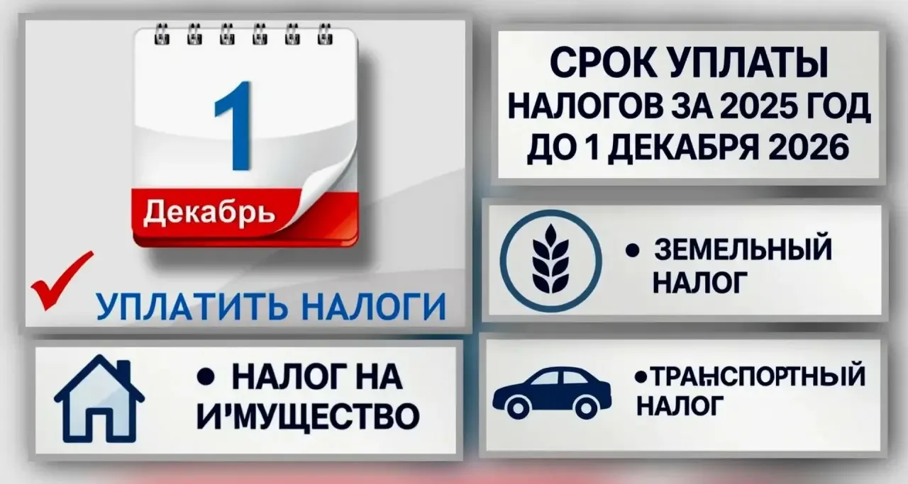 ⏰ 1 декабря 2026 года — крайний срок уплаты налогов!