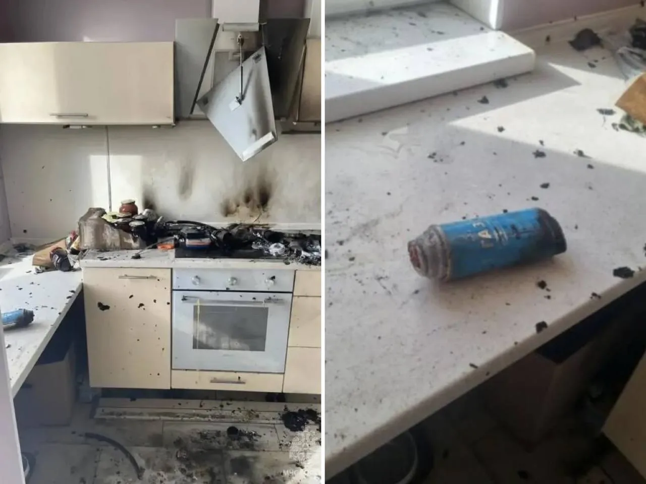 😱 В Одинцово кот устроил взрыв в квартире — случайно включил плиту