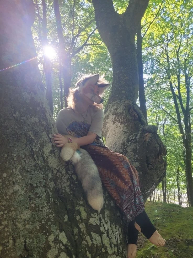 🐾🍃круто сидеть на деревьях🐾🍃
