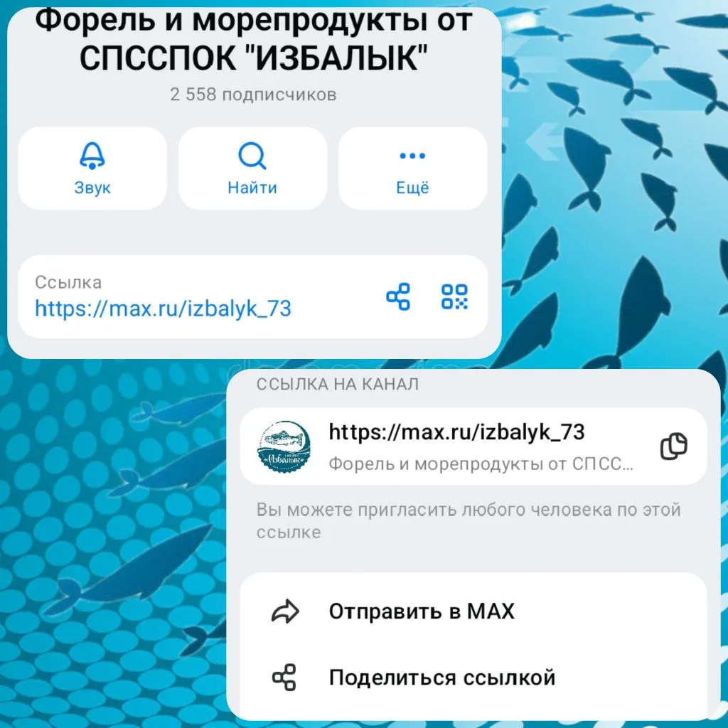 Друзья, давайте расширим наше форелевое братство 🤝