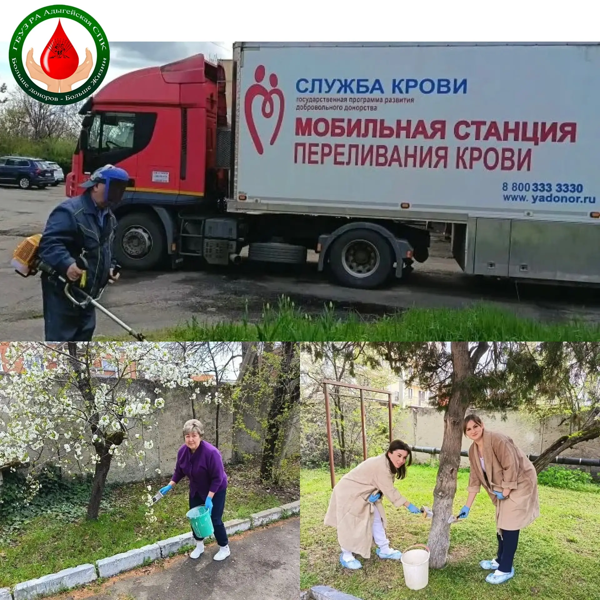 🌿 Прошел субботник: Вместе к чистоте и порядку!