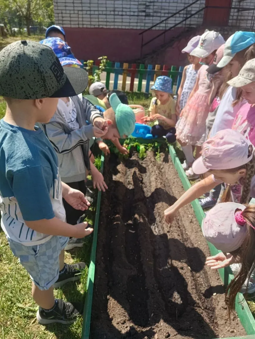 🌞Май — это прекрасное время для всех садоводов и огородников. С первыми теплыми лучами...