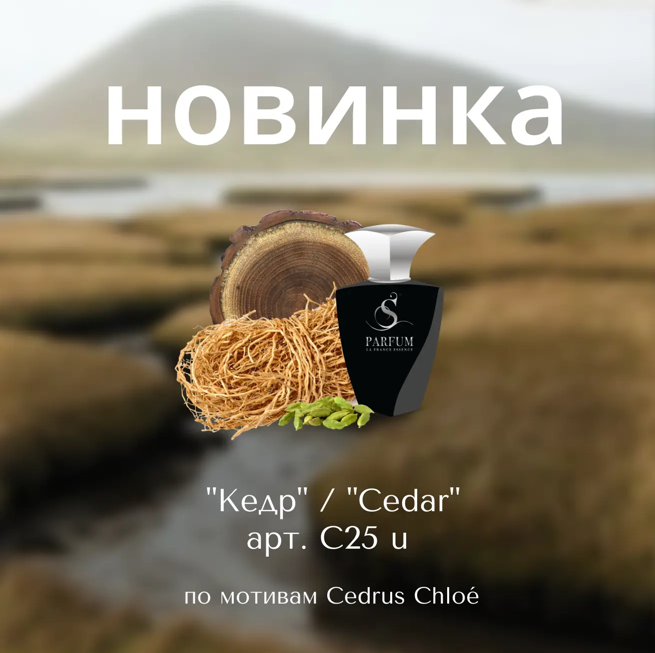Представьте: прохладный утренний лес, солнечные лучи пробиваются сквозь ветви кедров, в...