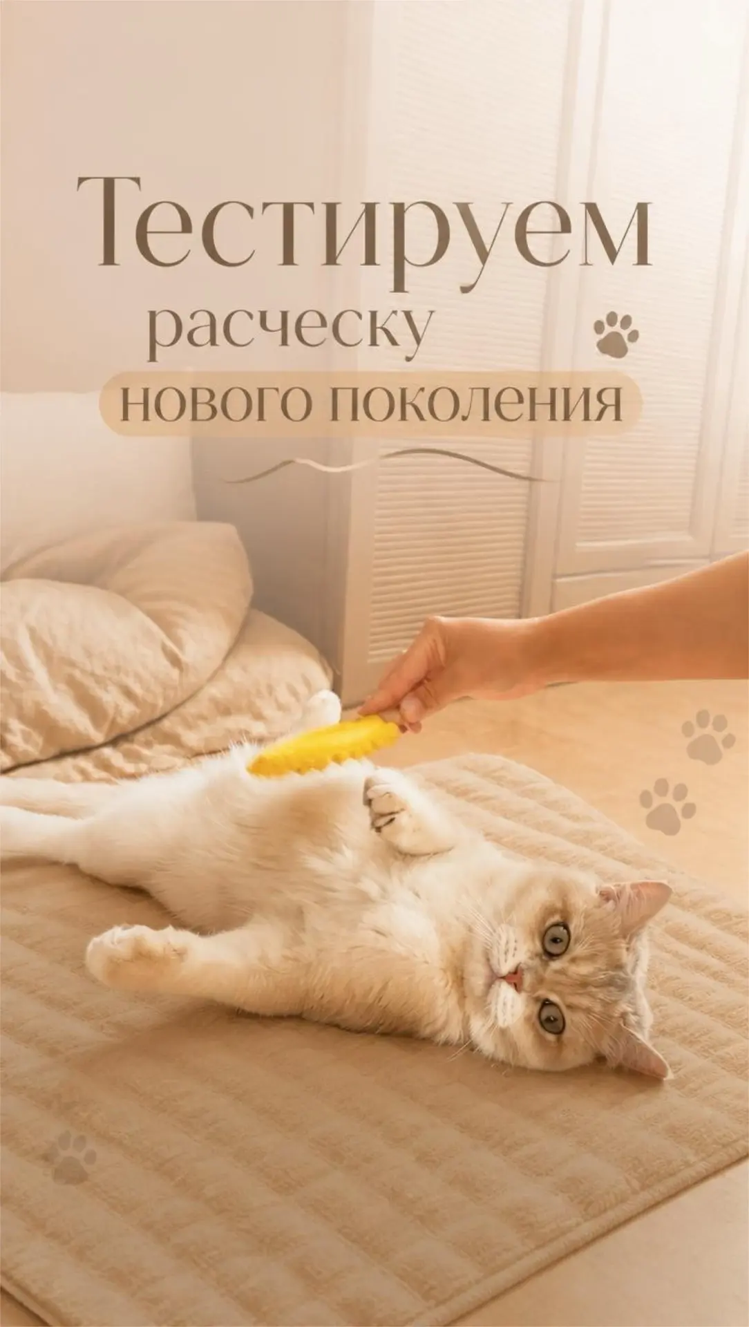 Тестируем расческу нового поколения для вычесывания шерсти. 

Вы знаете, как мы любим своего кота и 