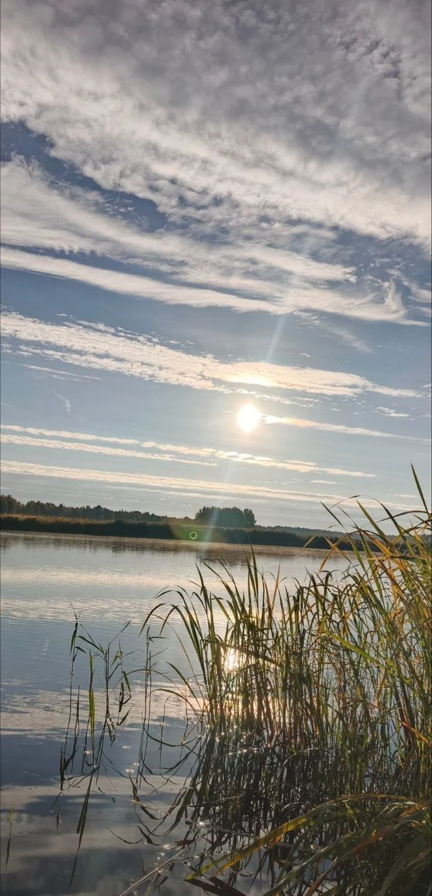 Река, тишина, удочки,  что ещё нужно для счастья 🎣