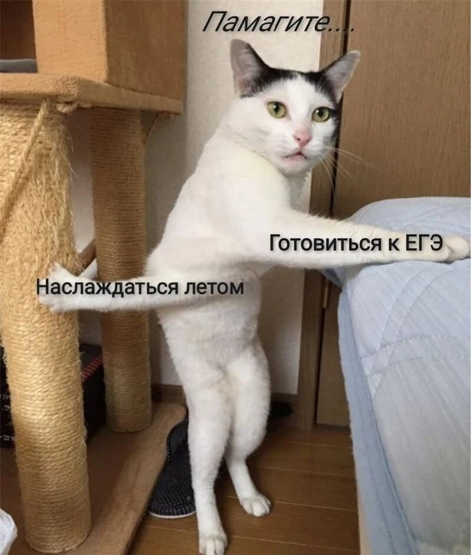 Министр науки и высшего образования Нижегородской области Виктор Анисимов выступил прот...