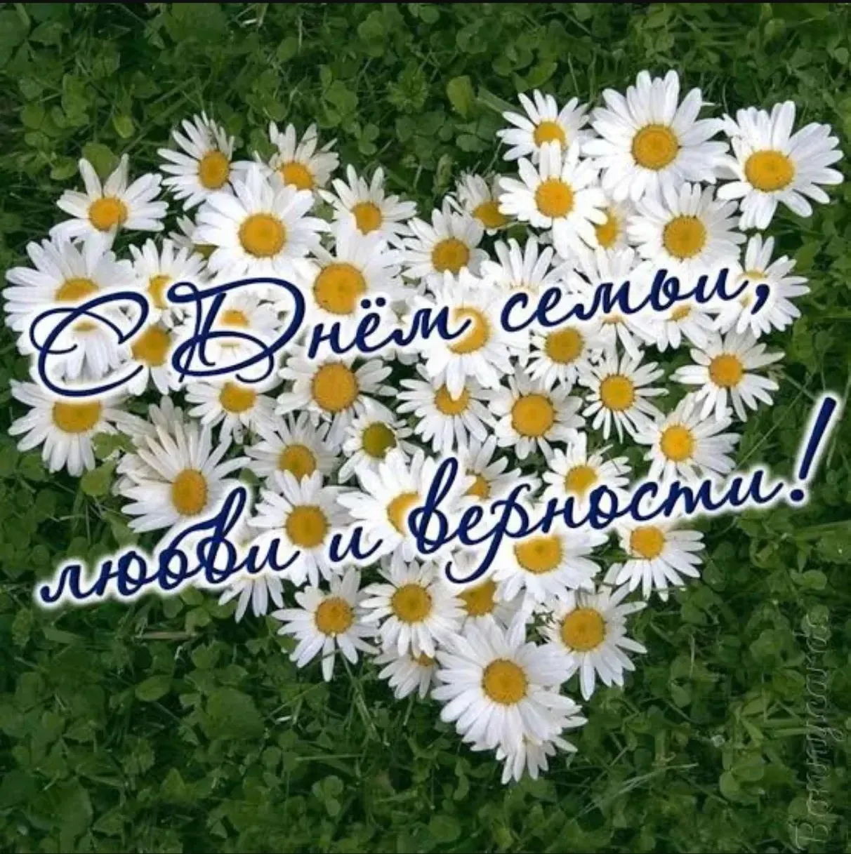 Дорогие педагоги, учащиеся и уважаемые родители! 

От всей души поздравляем вас с замечательным праз