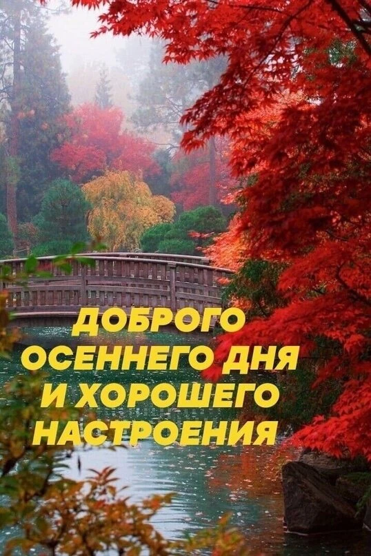 Оставьте реакцию — это как тёплый привет! 💖