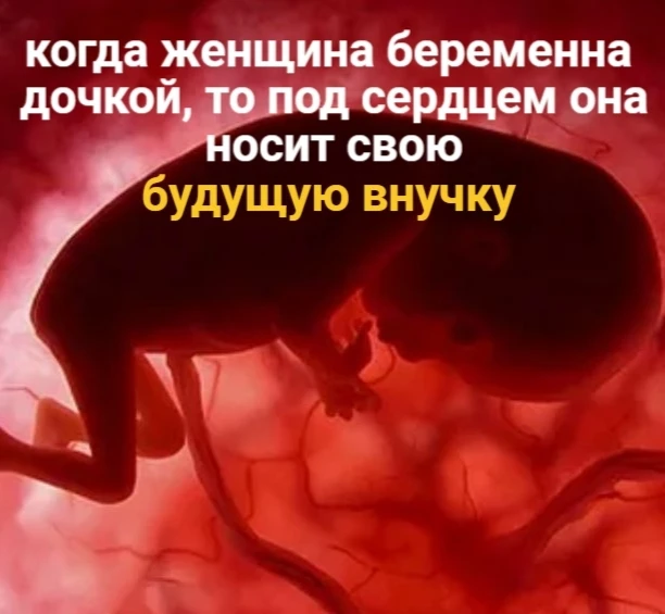Один из самых впечатляющих фактов эмбриологии касается внутриутробного развития девочки. 
 
Если жен