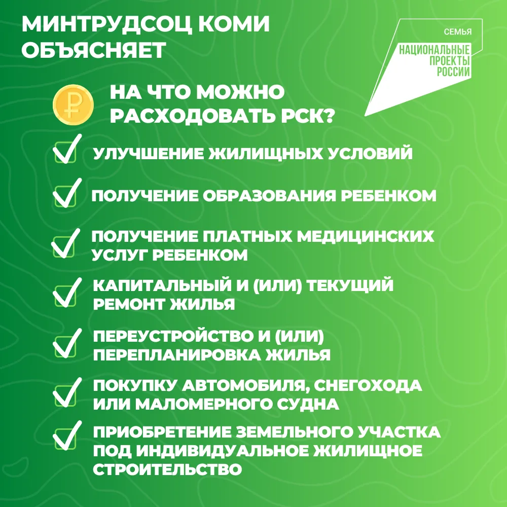 Нацпроект «Семья»: в Коми семьям, у которых родился первый ребенок, полагается региональный семейный