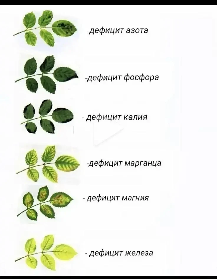 На заметку 📝