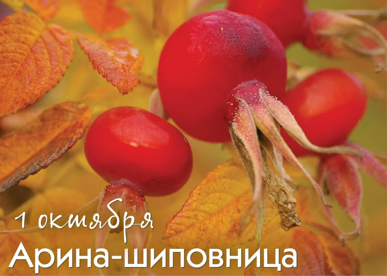 Народный календарь