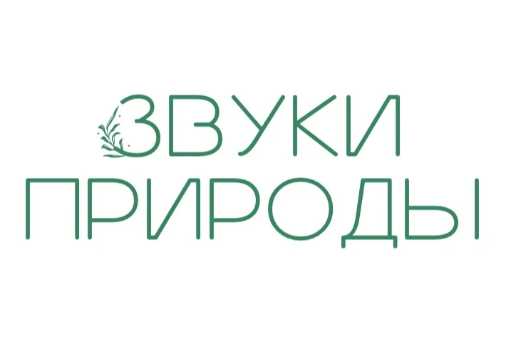 Представьте, как в суетливый день детского сада раздаётся не шум игрушек, а тихое пение зарянки и ше