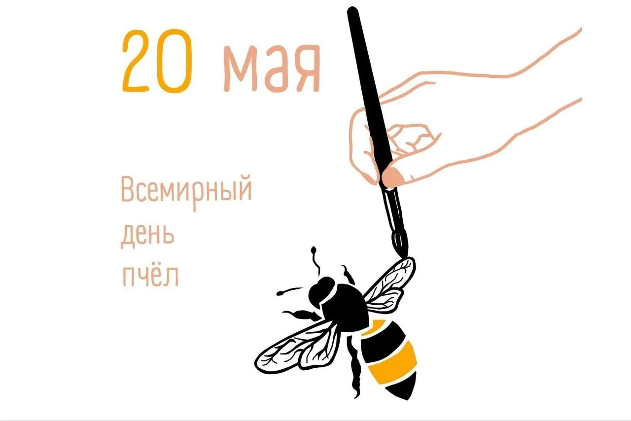 Друзья!