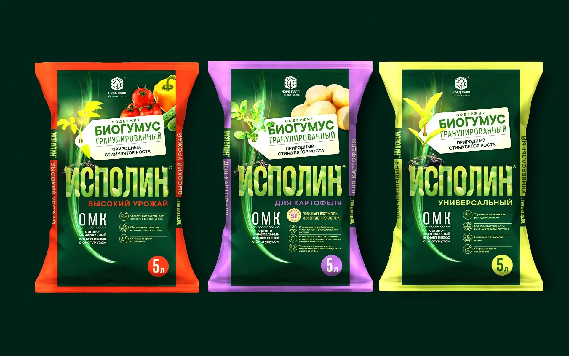 Новая неделя — НОВЫЙ КЕЙС из нашего ПОРТФОЛИО☄️