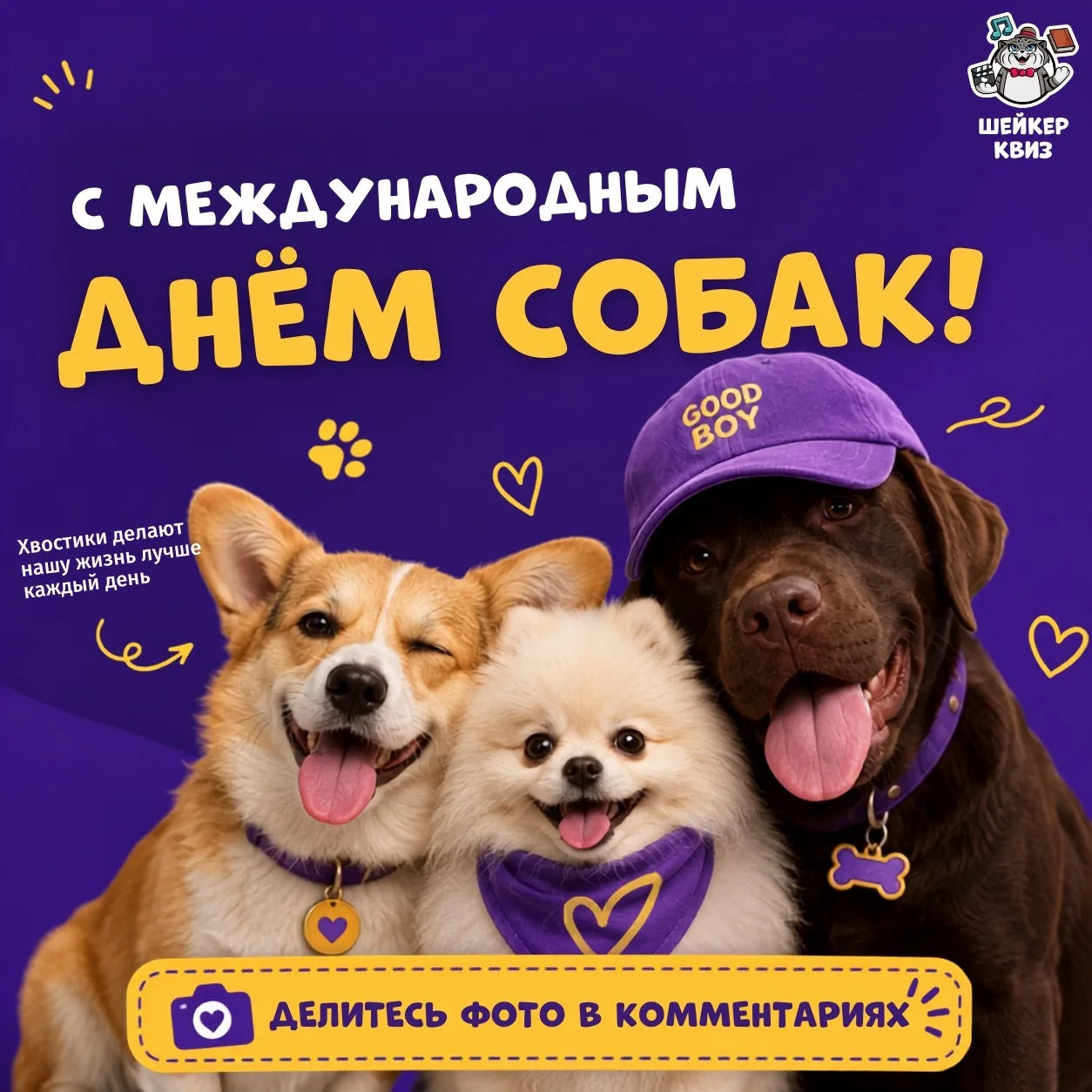 Сегодня Международный день собак 🐶