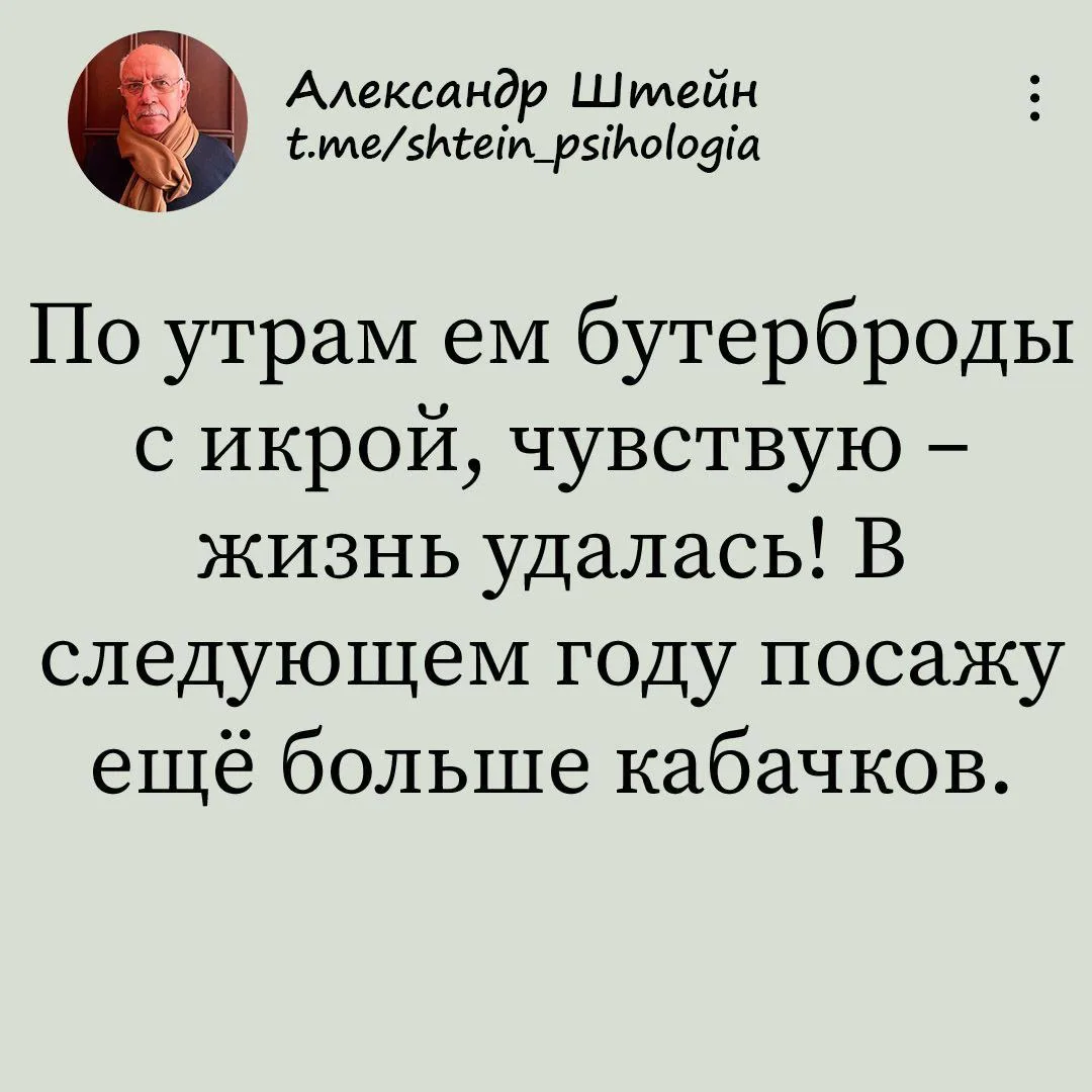 Александр Штейн