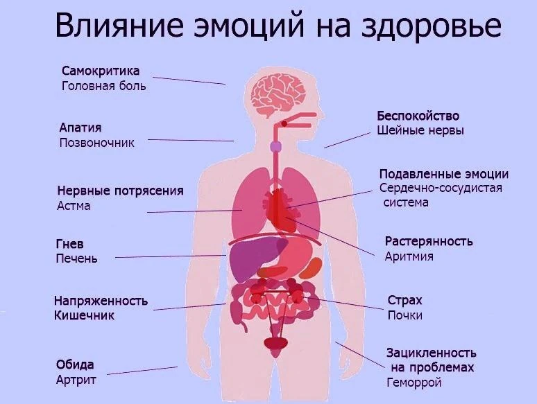 Как эмоции влияют на наши органы?