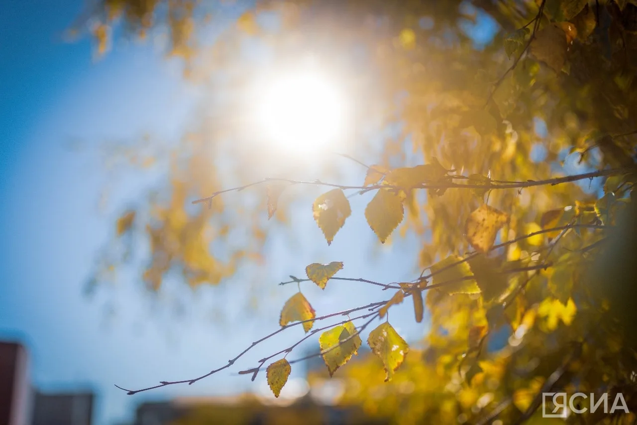 ☀️ #Погода