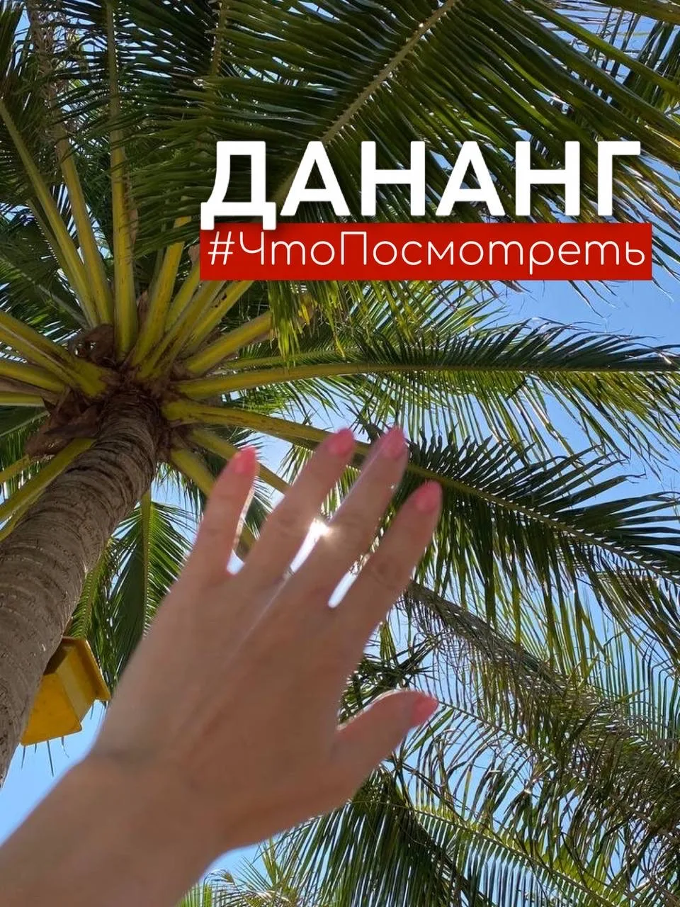 ⚡️НОВОСТЬ ДНЯ⚡️ ТУРЫ В ДАНАНГ ИЗ НОВОСИБИРСКА ОТ 77 880 РУБ/ЧЕЛ🇻🇳  Вьетнам открывается с другой стор