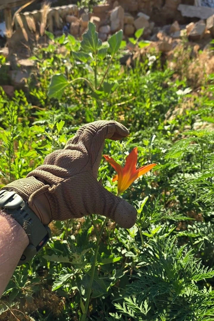 Пусть любовь цветёт в каждом сердце ❤