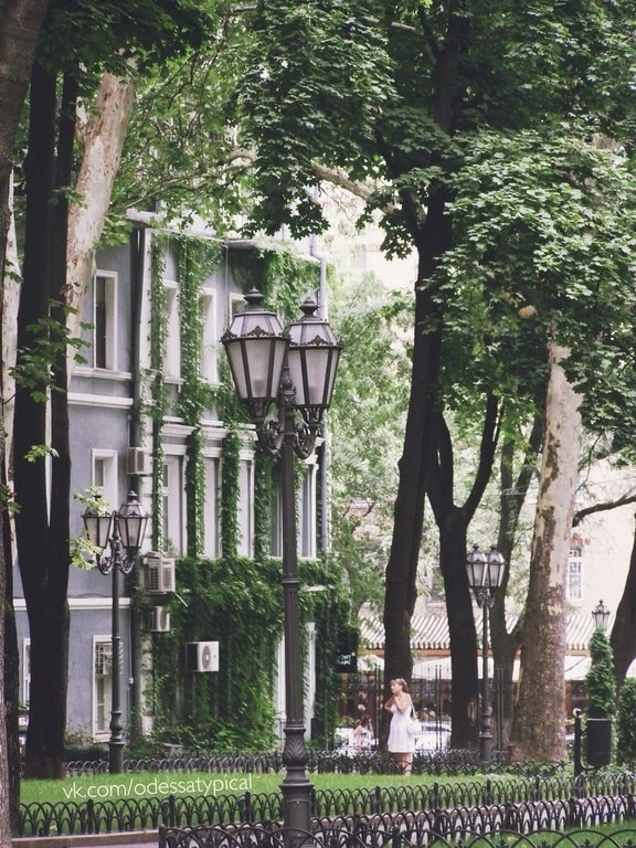 ☕ 🍁 Доброе утро, красавица Одесса⚓⛵