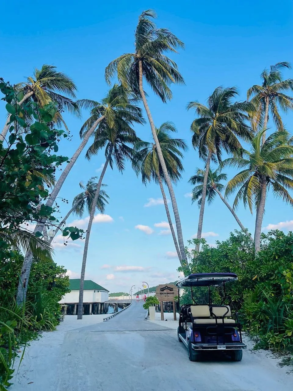 Один из самых лучших семейных резортов на Мальдивах!🌴

• Огромный активный остров с множеством разв