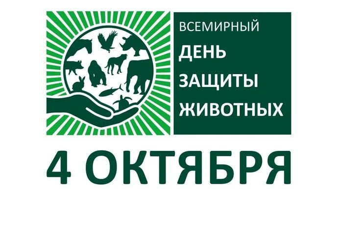В России День защиты животных отмечают ежегодно 4 октября — в ту же дату, что и междуна...