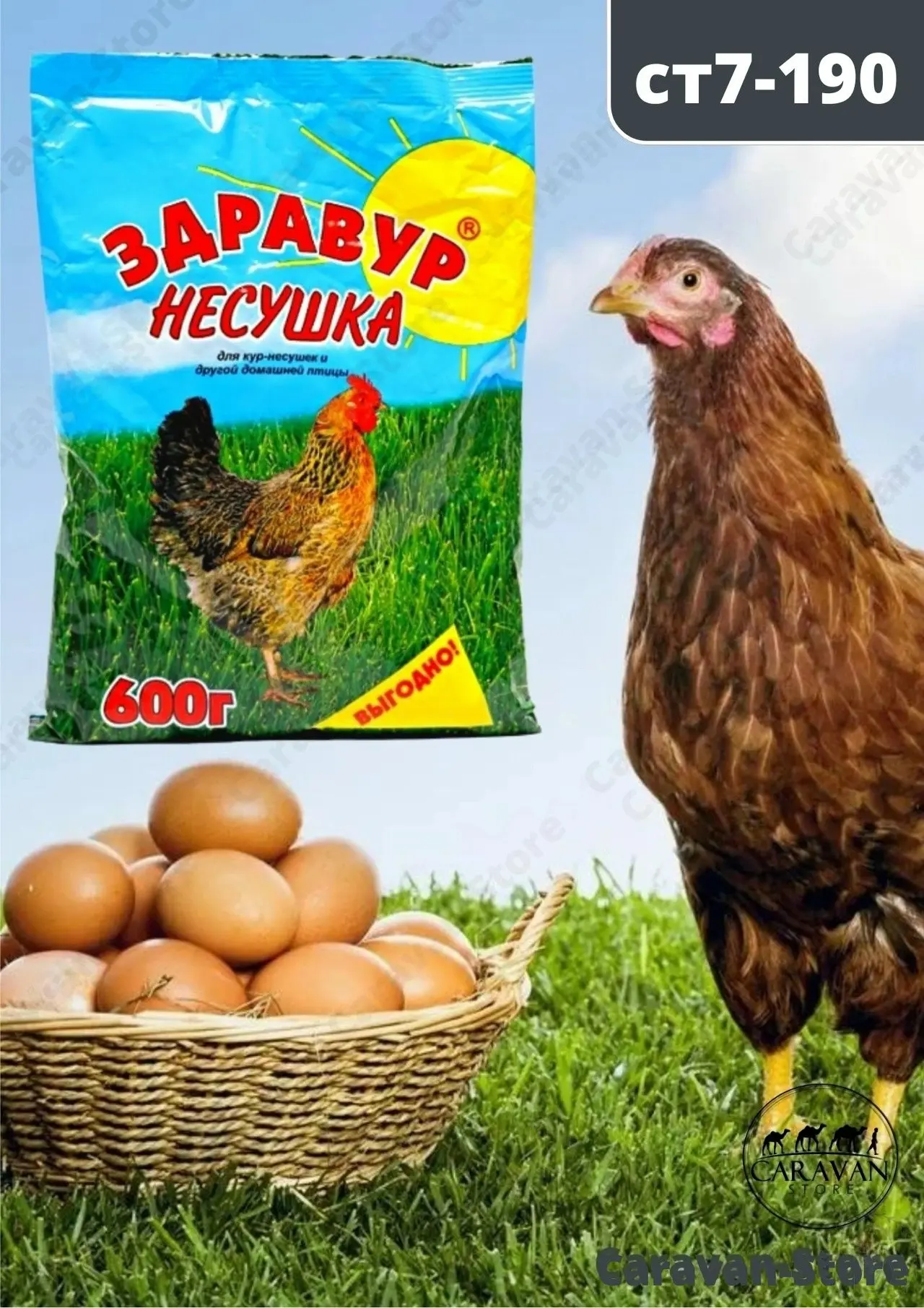 https://vk.com/photo-184814919_493427890