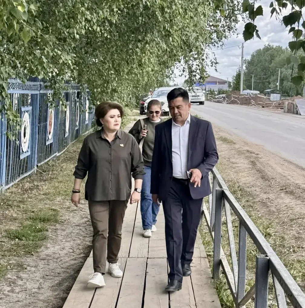 В селе Раевский Альшеевского района провели партийный десант. В нем приняли участие Наи...