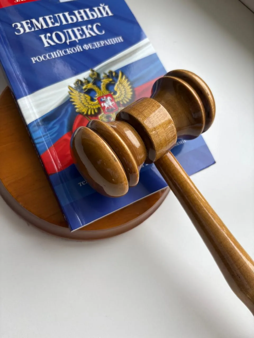Преимущественное право Республики Алтай на покупку земельного участка из земель сельско...