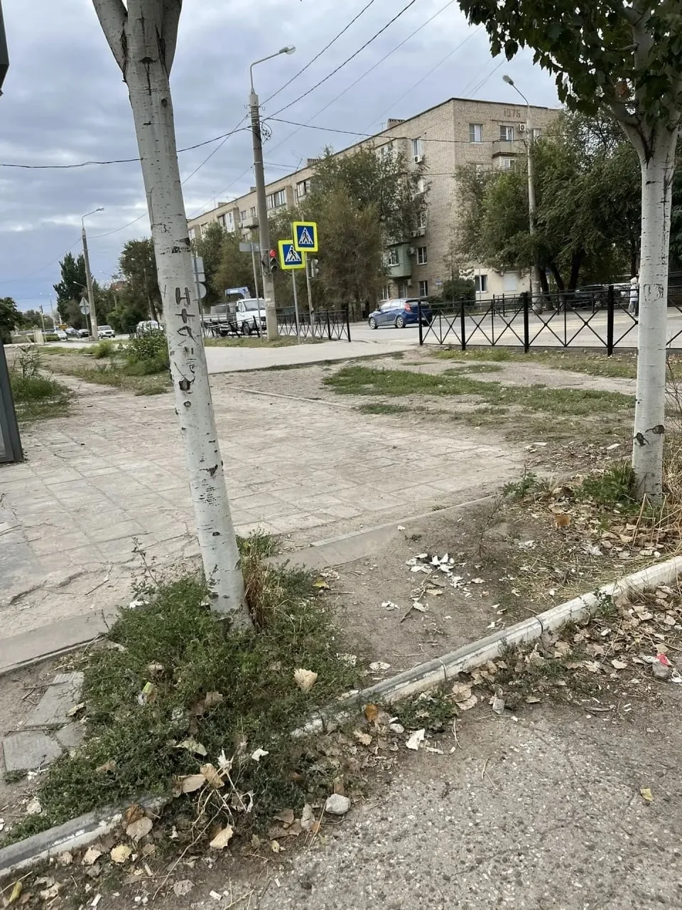 Знаков много, толку мало