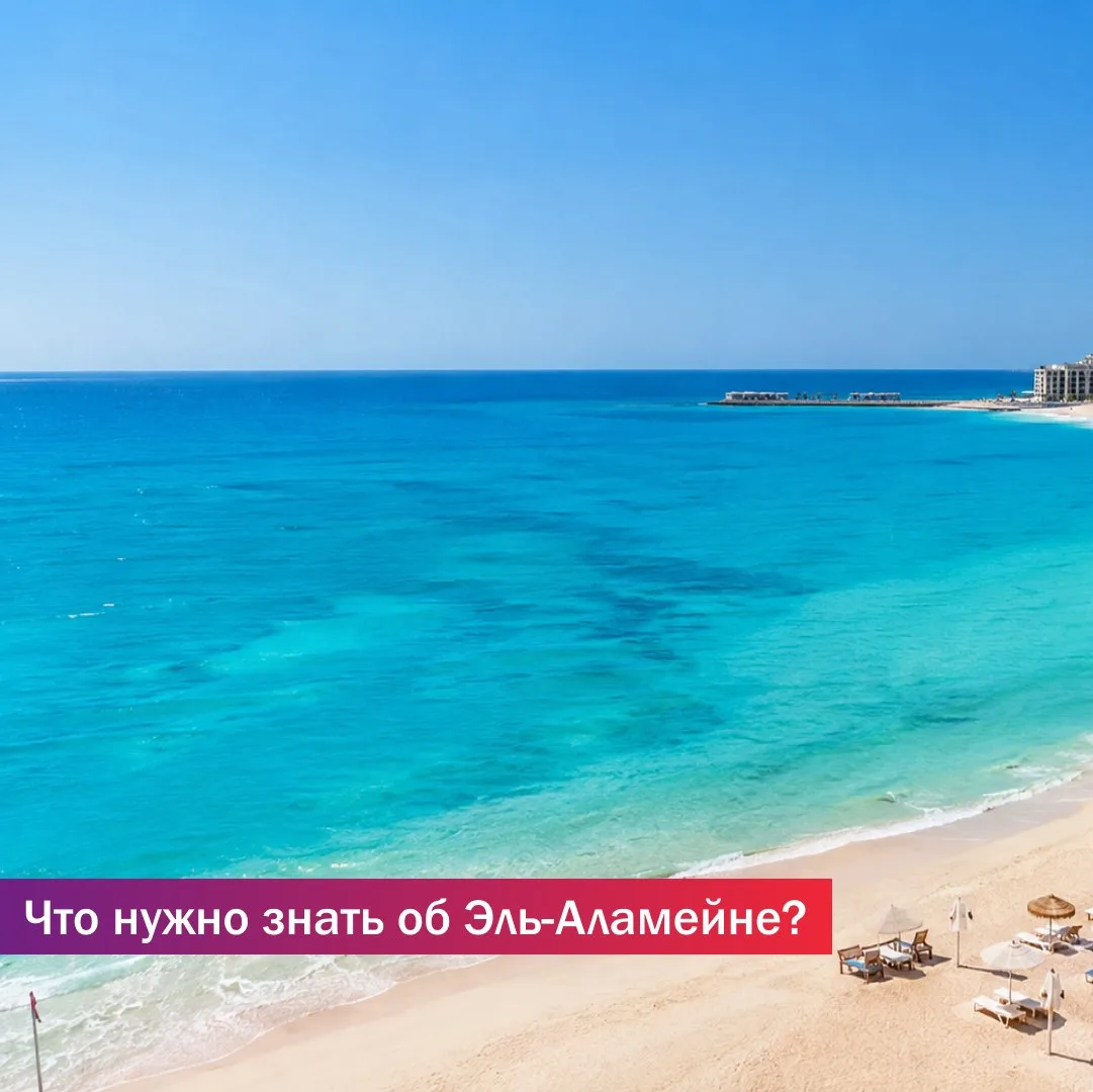 Что нужно знать об Эль-Аламейне? 🇪🇬