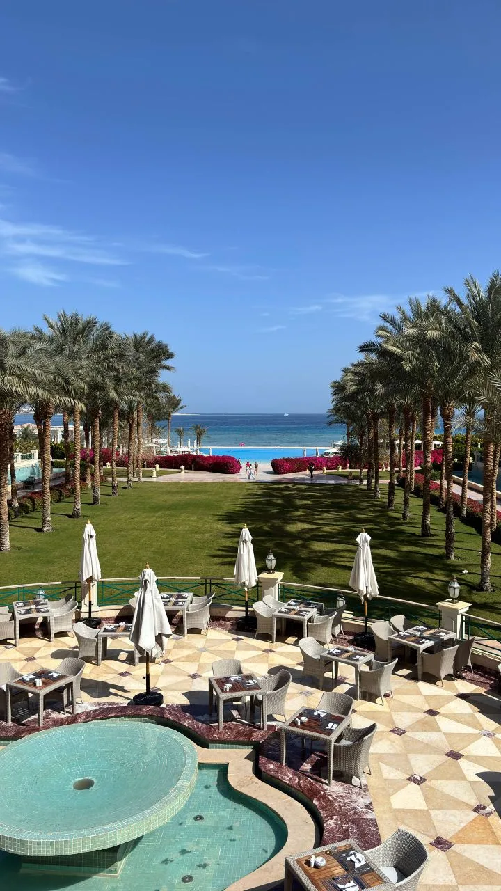 Летим в Египет в июне!? 🌴☀

Шоколадный загар гарантирован и цены сейчас шикарные, особенно из Екате