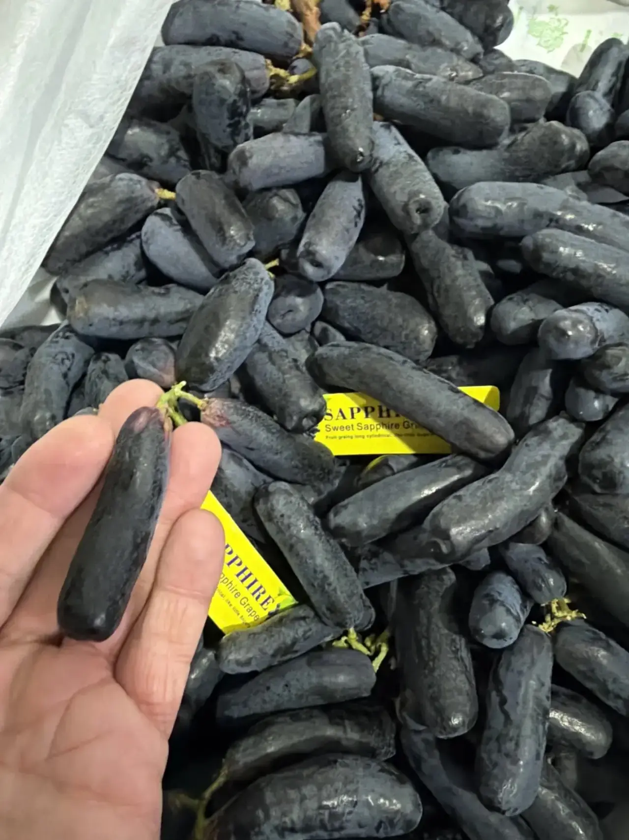 Машина из Азии заехала в Россию 🚛🍇