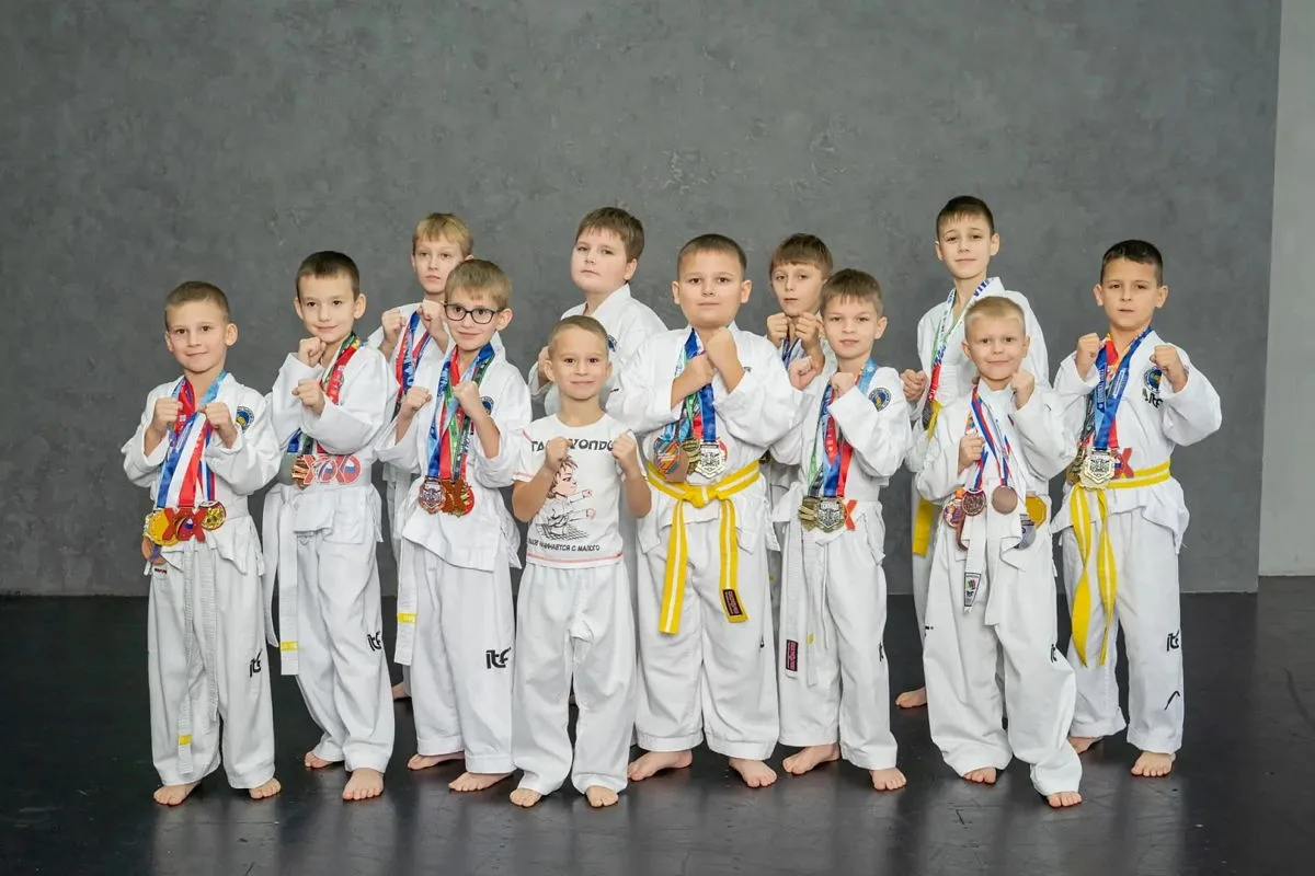 Мастер-класс «Знакомство с Тхэквондо» (4-7 лет), 0+