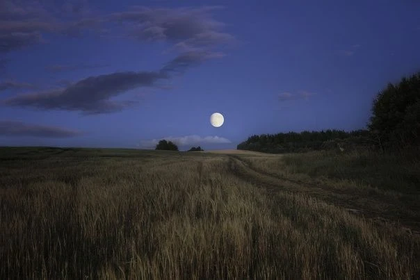 💫 Мы  желаем  вам доброй ночи 💫