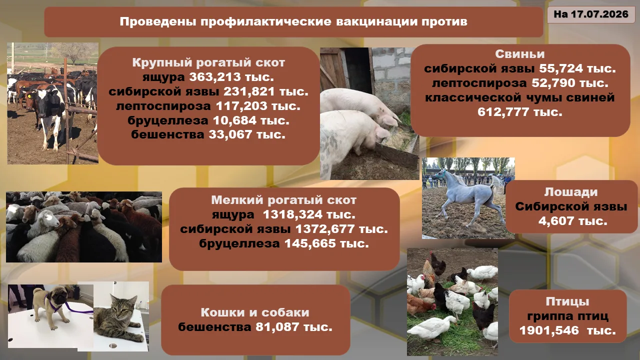 Государственная ветеринарная служба Ставропольского края проводит плановые весенние ветеринарные про