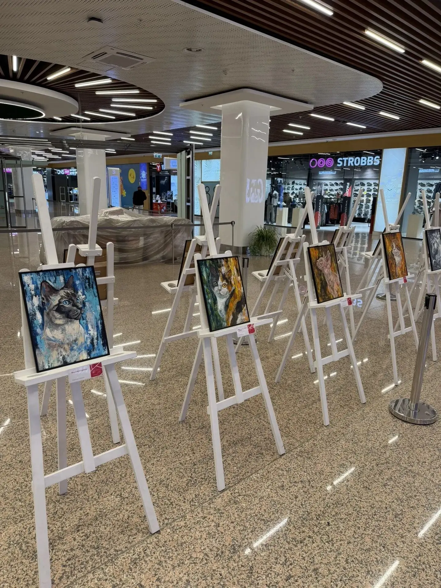 Почувствуйте стихию 🎨