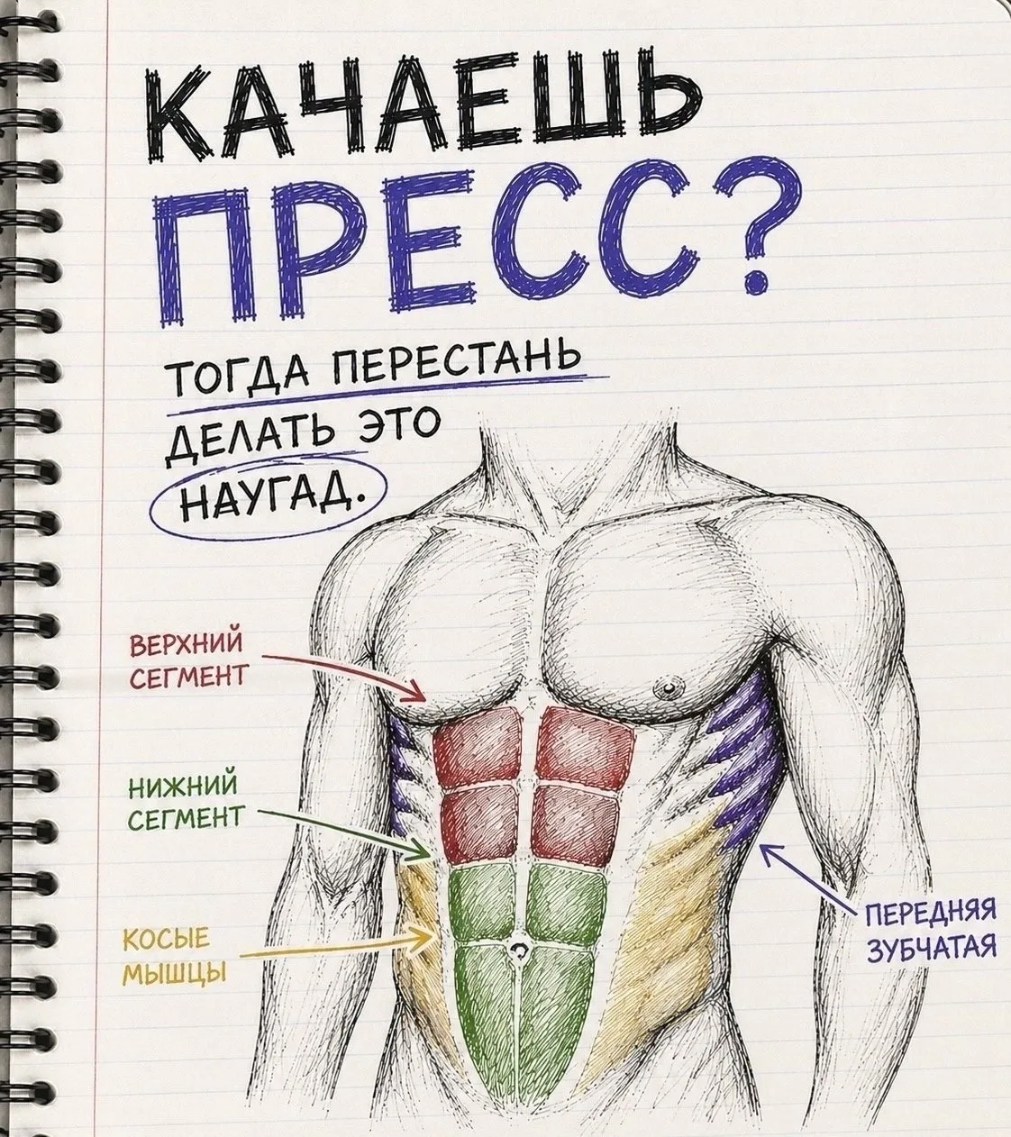 КАЧАЕШЬ ПРЕСС? ТОГДА ПЕРЕСТАНЬ ДЕЛАТЬ ЭТО НАУГАД