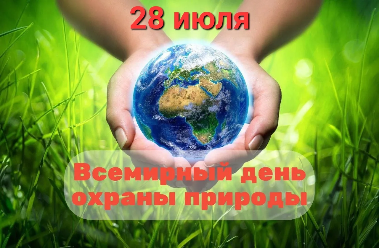 🌱Всемирный день охраны природы отмечается ежегодно 28 июля. Этот праздник был учреждён...