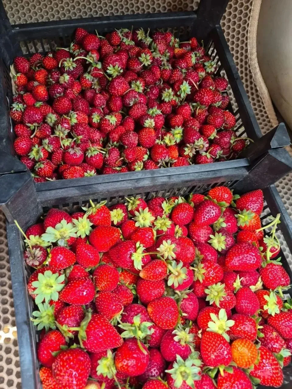 Омск! НА УЛИЦЕ УЖЕ ОСЕНЬ, А У НИХ 👇