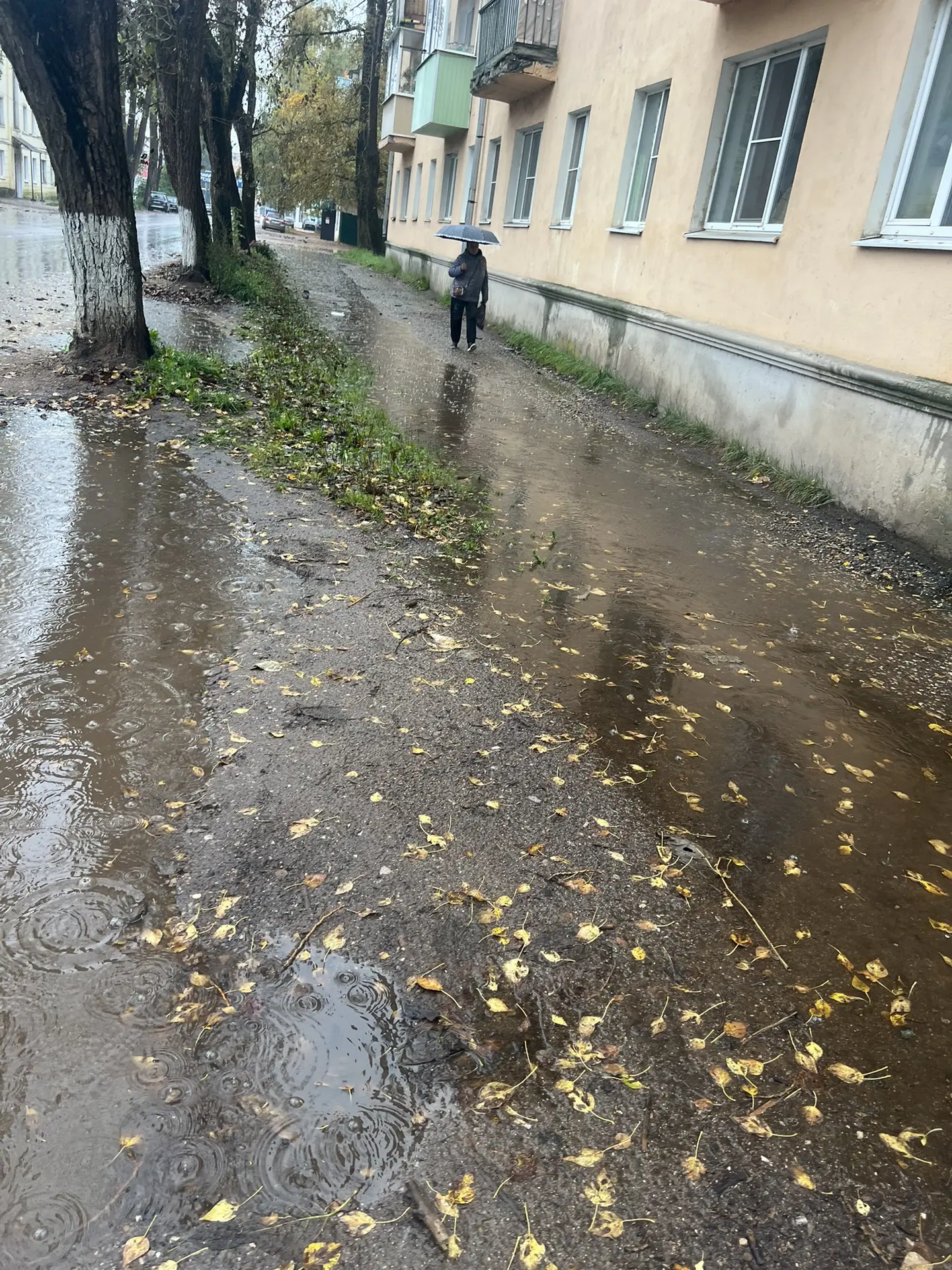 ТРОТУАРЫ Осташкова  ПО-ТИТОВСКИ. ЛЕпили с Иванкиным куда попало. НА Рабочей старушки  п...