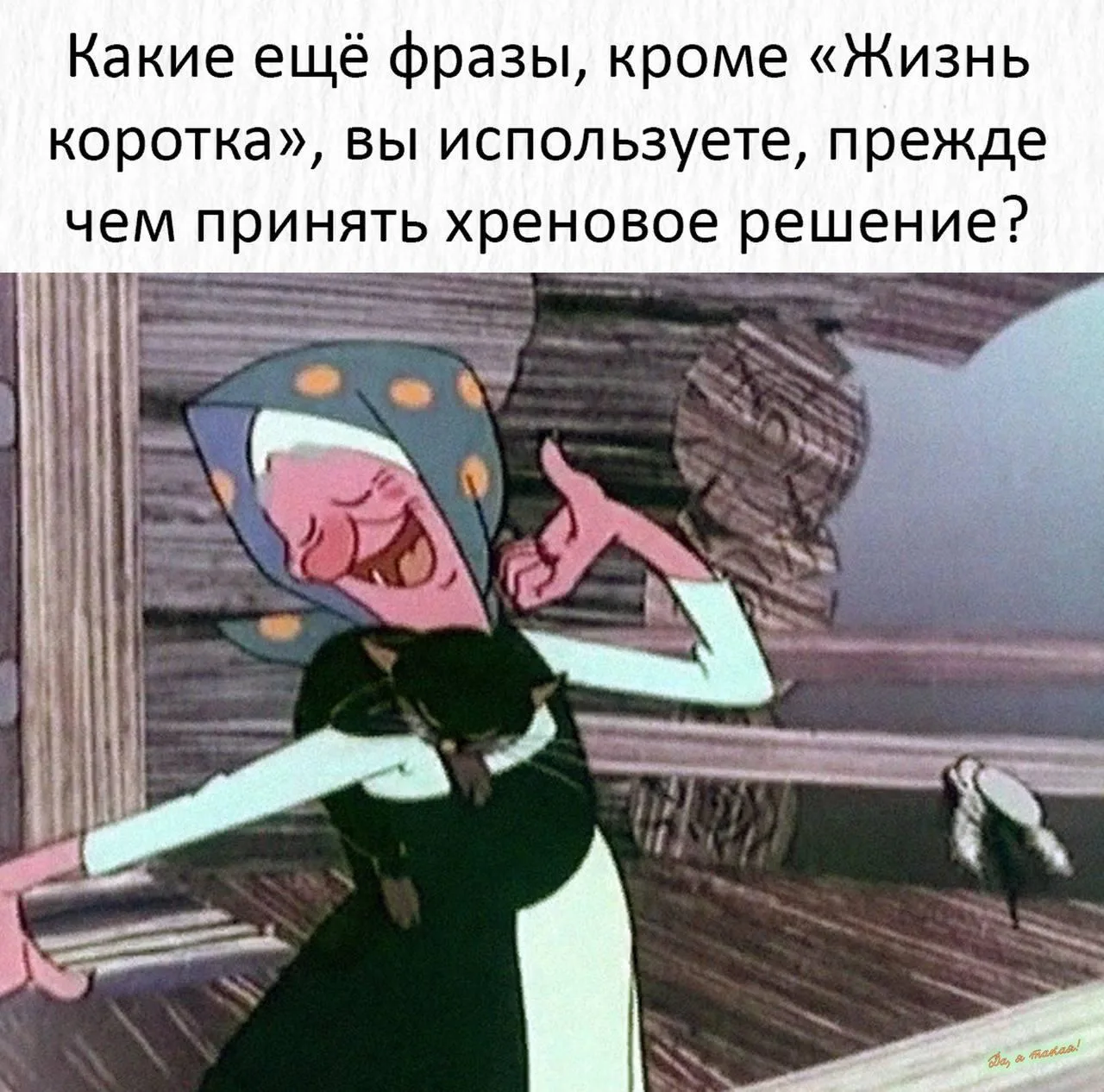 Живем один раз!🧐
