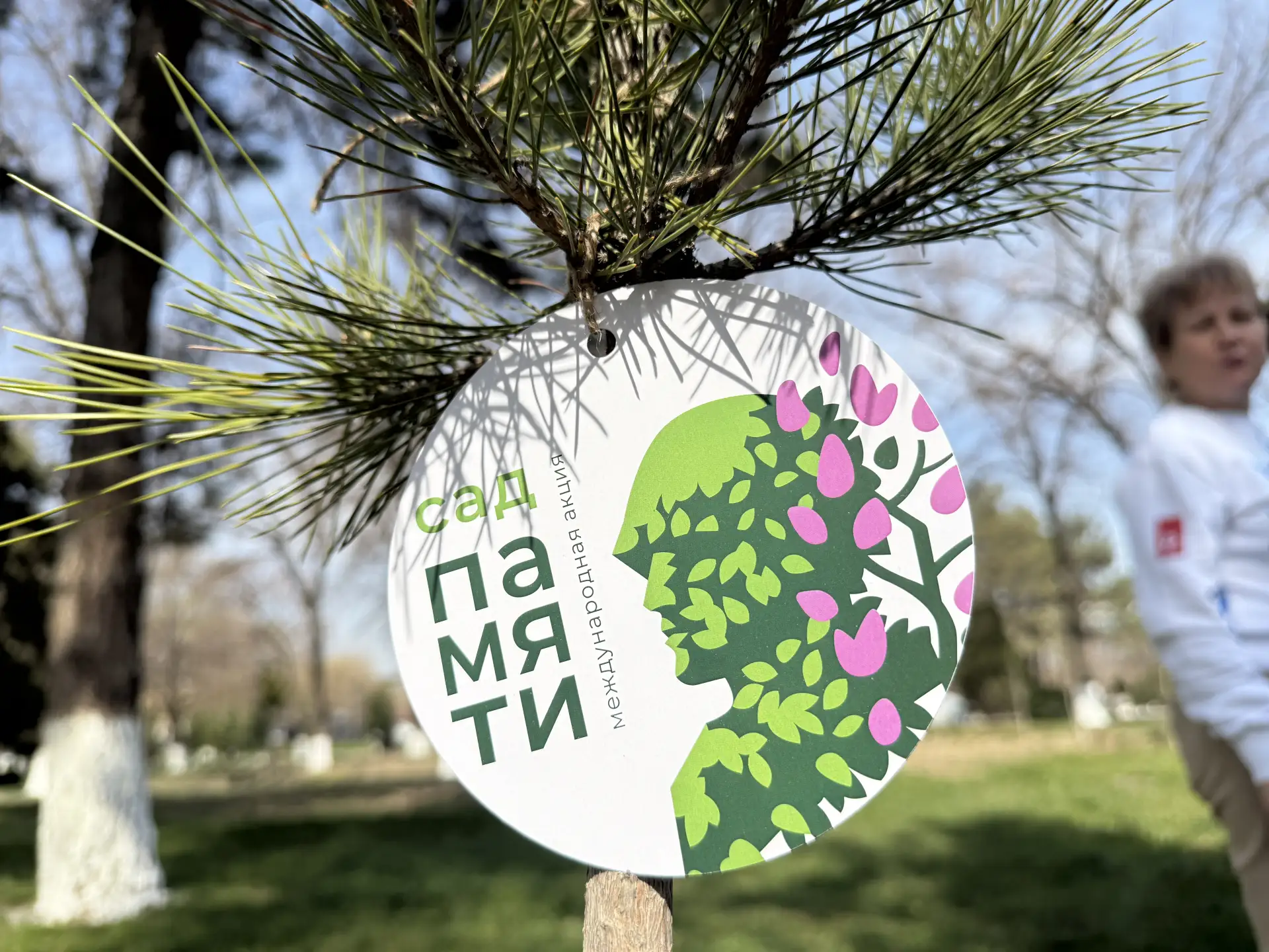 «Сад памяти» в Узбекистане 📢  В Ташкенте Волонтёры Победы вместе с представителями Русского дома выс