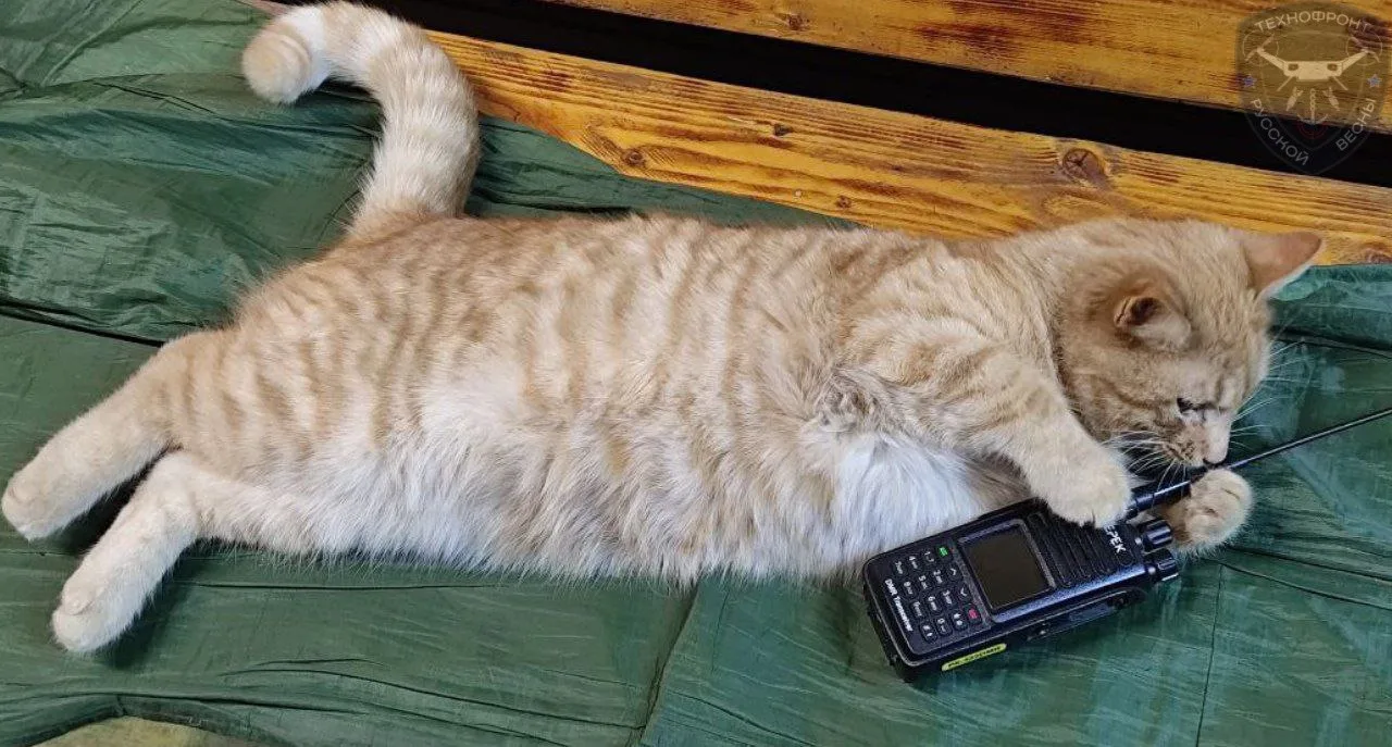 🙂 «Есть связь. Вышел на связь. Нету значит нету, ждите, как будет позвоню…»))) Хорошег...