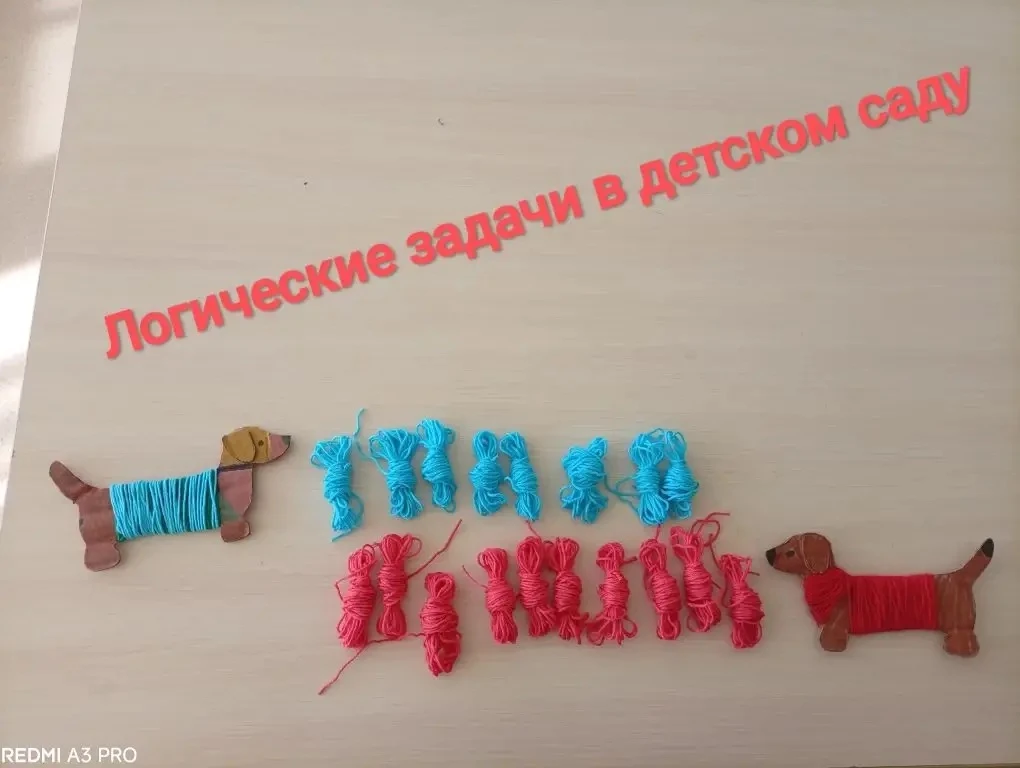 Решаем практические задачки в старшей 12 группе: