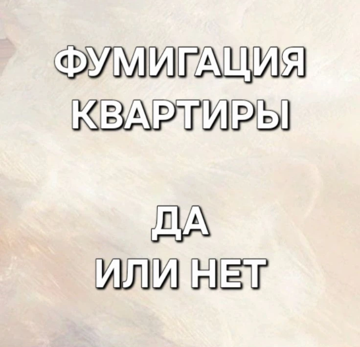Можно ли фумигировать квартиру от клопов?